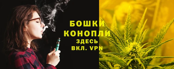 соль курить ск Новодвинск