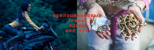 МДПВ Новозыбков