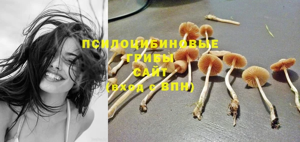 соль курить ск Новодвинск