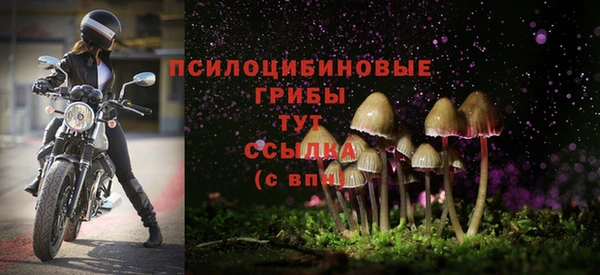 мдма Новокубанск