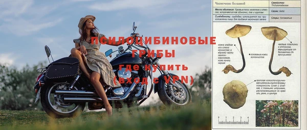 МДПВ Новозыбков