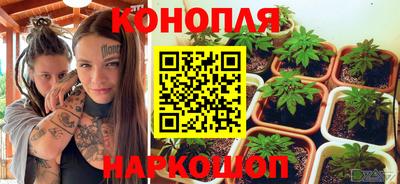 стафф Бийск