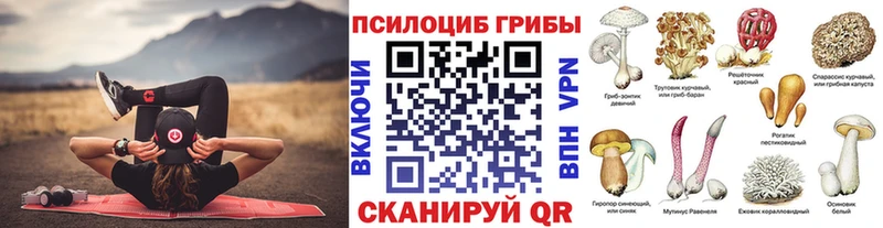 продажа наркотиков  Ирбит  Псилоцибиновые грибы GOLDEN TEACHER 