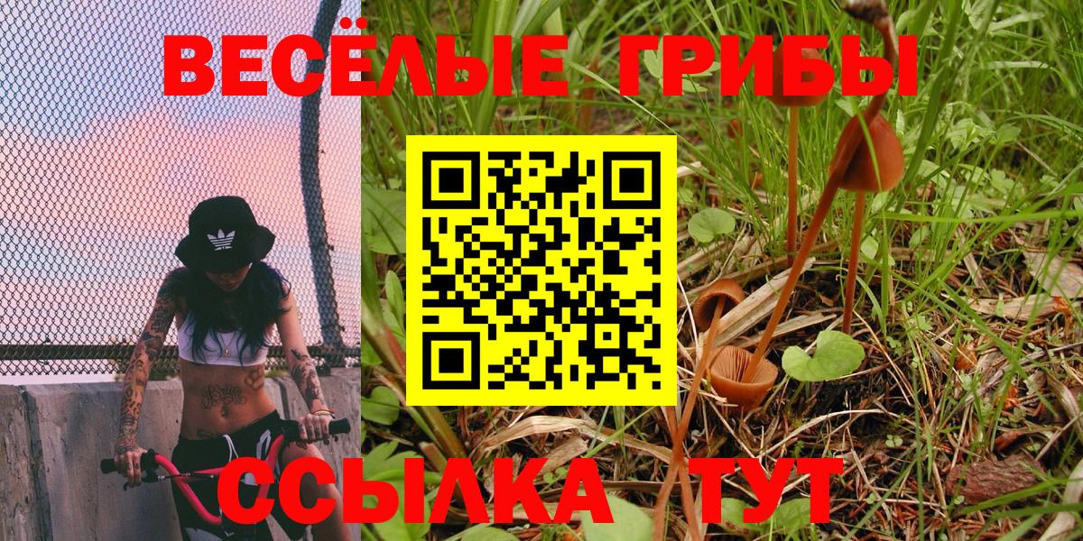 Галлюциногенные грибы мухоморы  даркнет сайт  Ирбит 