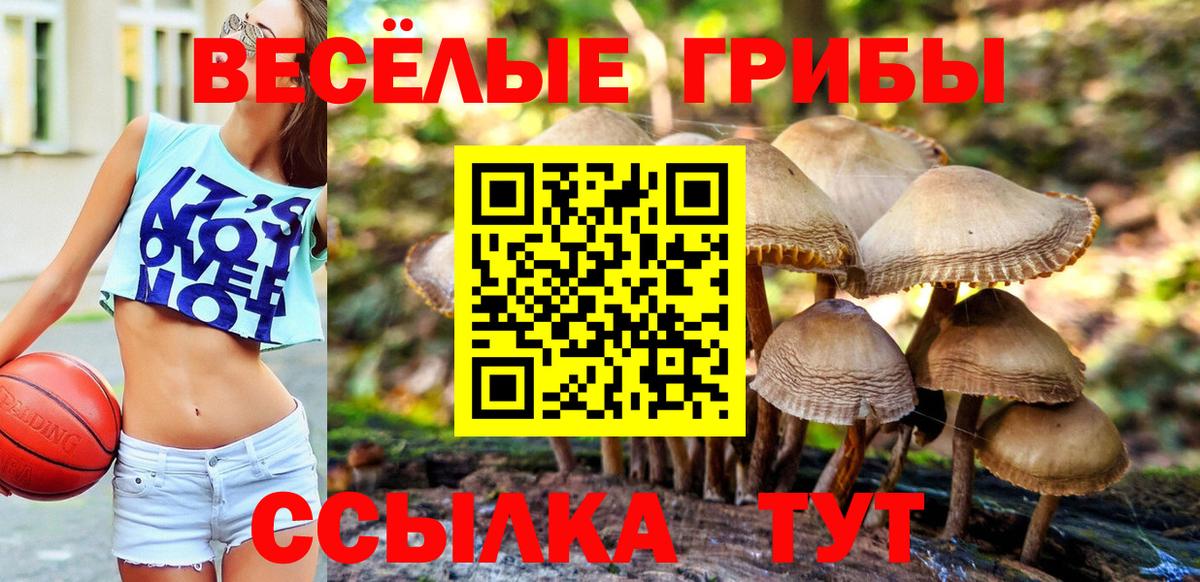 Галлюциногенные грибы Cubensis  Вход с VPN  Ирбит 