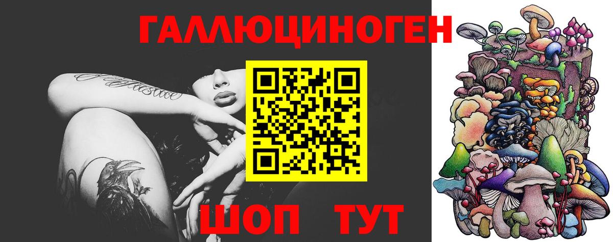 Галлюциногенные грибы Psilocybine cubensis Ирбит