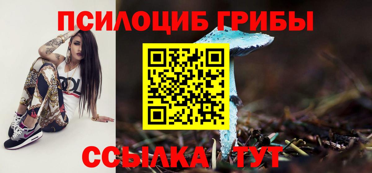 Галлюциногенные грибы Psilocybine cubensis Ирбит